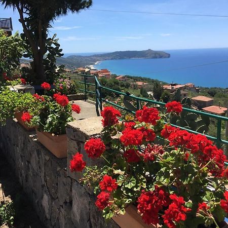 Villa Incanto B&B คาปริโอลิ ภายนอก รูปภาพ